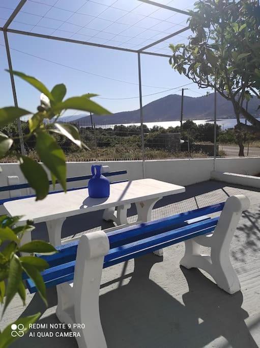 White Villa In Olive Trees And Seaview To Panagia Almiropótamos Exterior foto