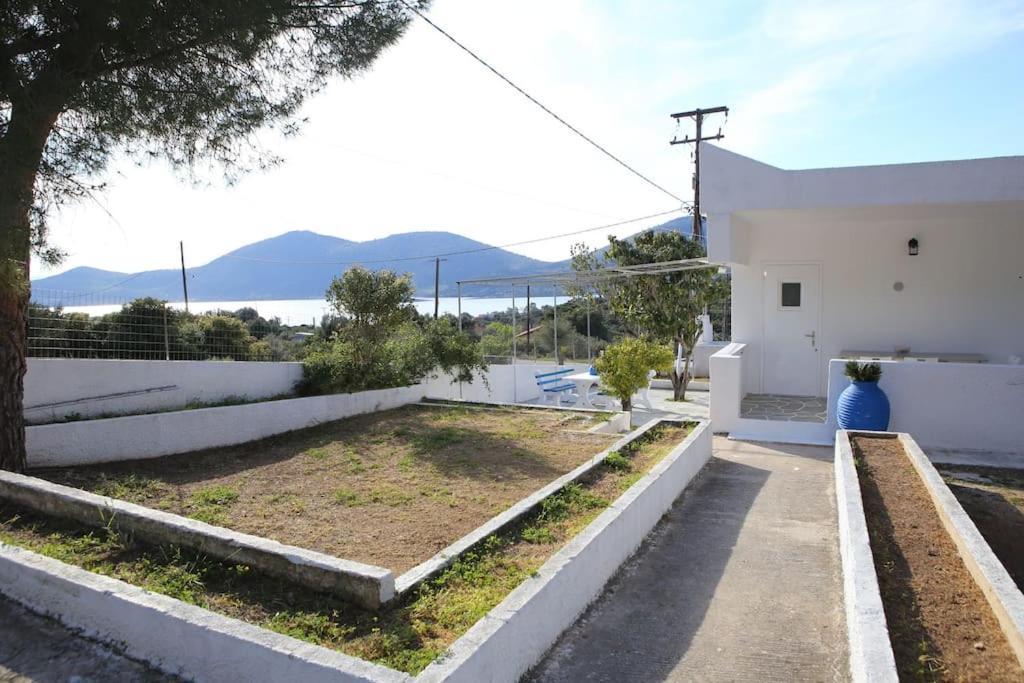 White Villa In Olive Trees And Seaview To Panagia Almiropótamos Exterior foto