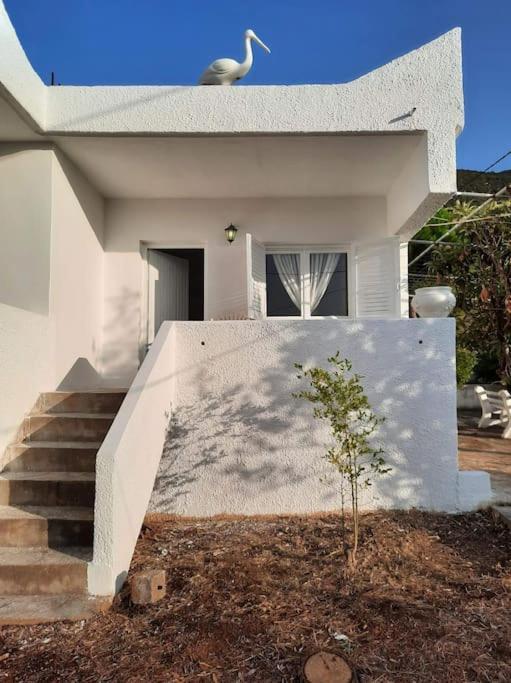 White Villa In Olive Trees And Seaview To Panagia Almiropótamos Exterior foto